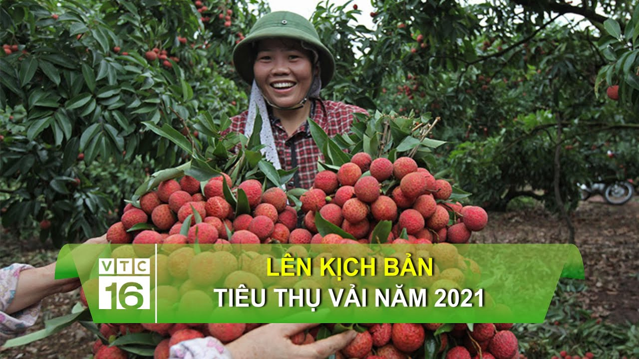 Sự Bùng Nổ Của Video Ngắn và Trí Tuệ Nhân Tạo: Vai Trò Thiết Yếu Của Đào Tạo Kỹ Năng Sáng Tạo Nội Dung_đoạn ngắn hướng dẫn video